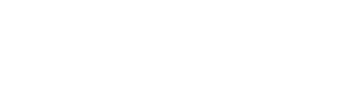 FES